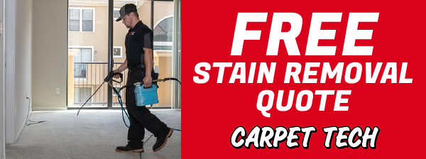 FREE Stain Removal Quote