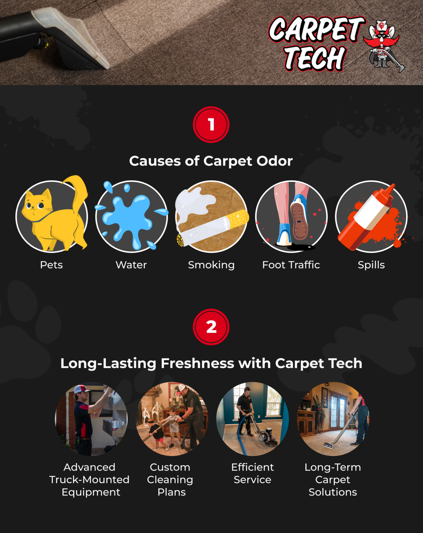 Carpet Odor Infographic
