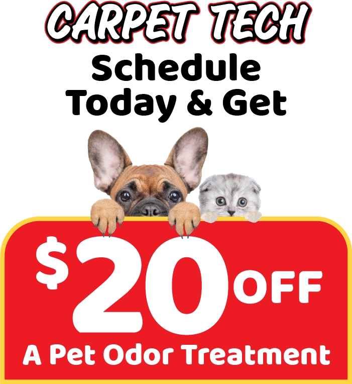 Schedule today and get $20 off a pet odor treatment graphic