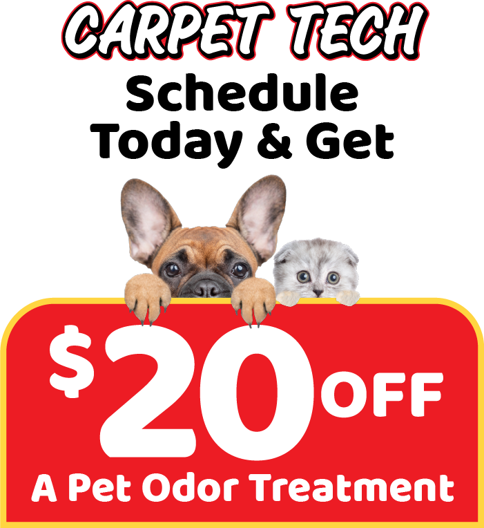 Get 20 Off Pet Odor Treatment Carpet Tech