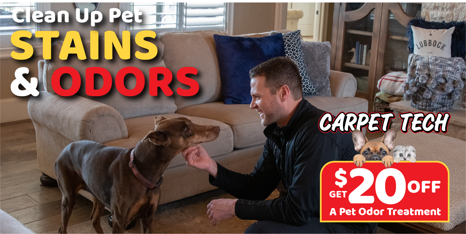 Clean up pet stains and odors graphic