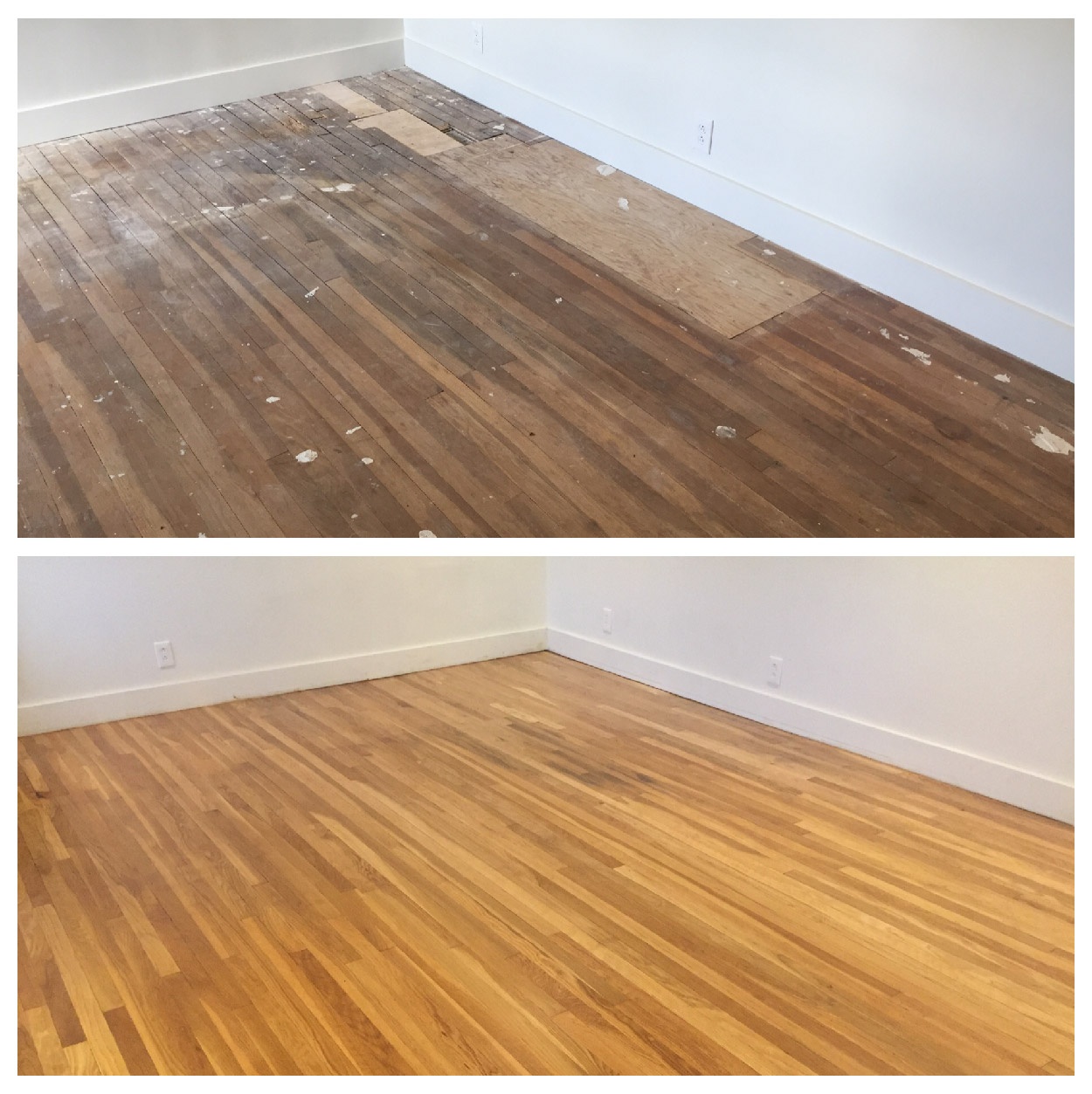 Common Wood Flooring Issues How To Solve Them Carpet Tech