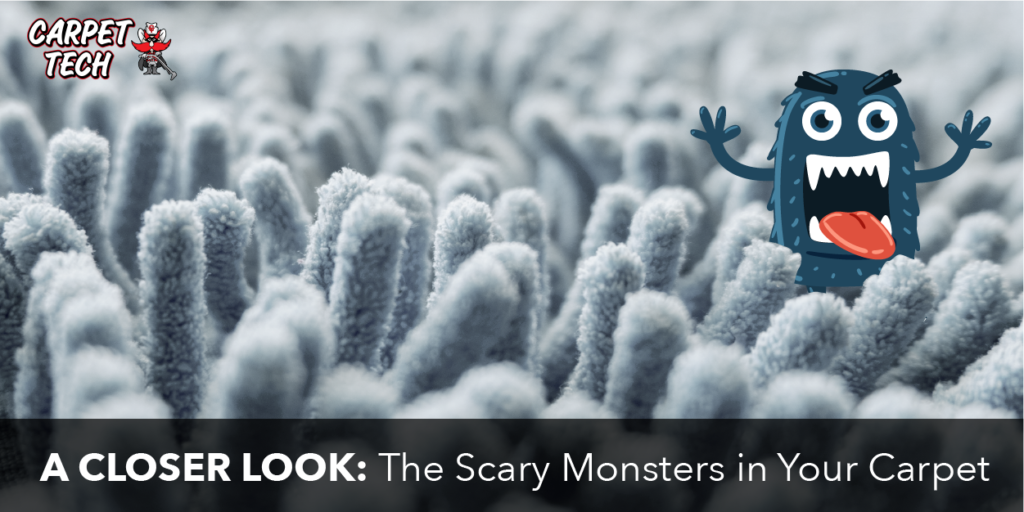 A Closer Look The Scary Monsters In Your Carpet Carpet Tech