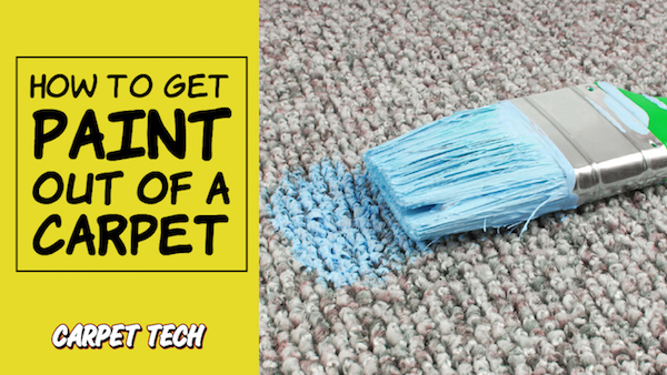 How to Get Paint Out of Carpet - The Home Depot