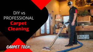 DIY vs Professional Carpet Cleaning