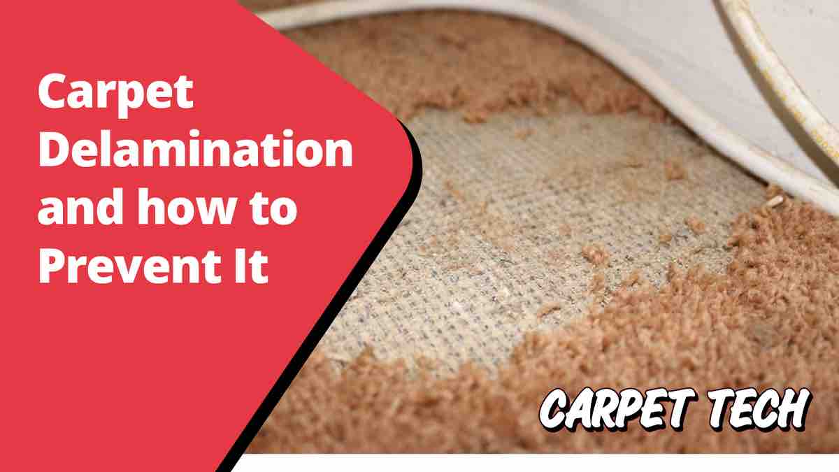 Carpet Delamination Prevention and How to Fix It - Carpet Tech