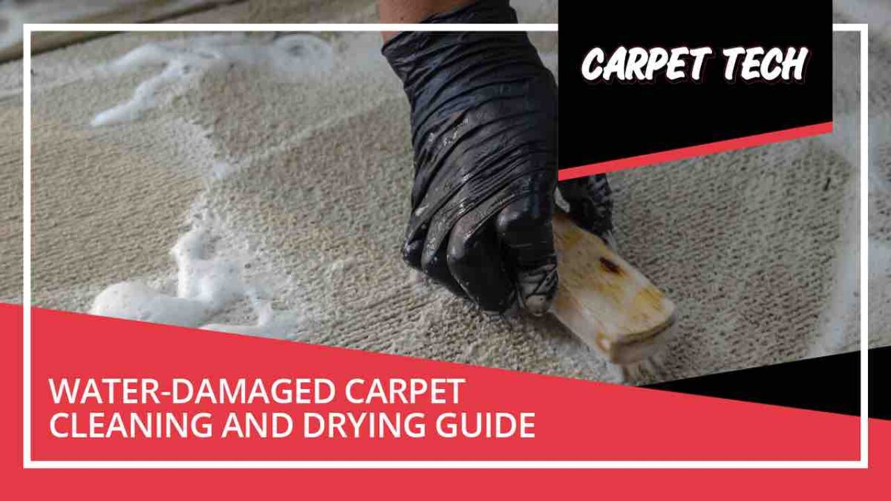 How To Dry Your Carpet Water-Damaged Carpet Cleaning and Drying Guide - Carpet Tech