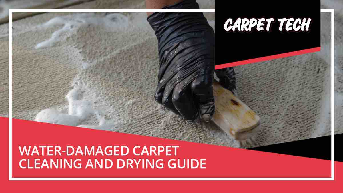 Wet For Days Carpet Is Bad For Your Health