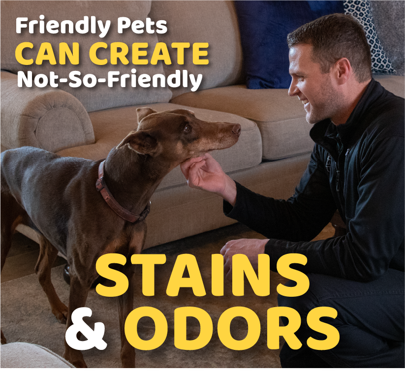 Friendly Pets can create not-so-friendly stains and odors graphic
