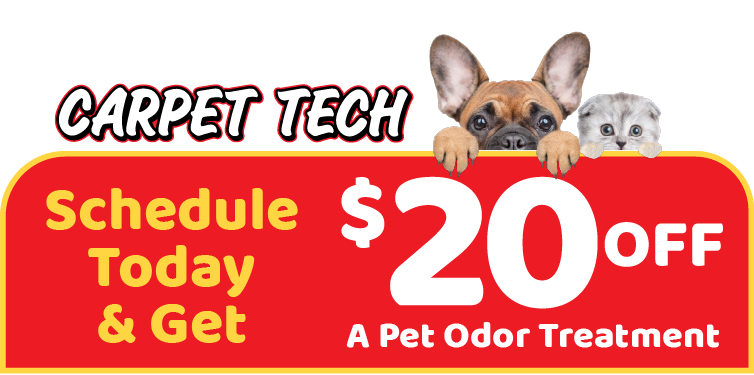 Carpet Tech Schedule Today & Get $20 Off a Pet Odor Treatment graphic