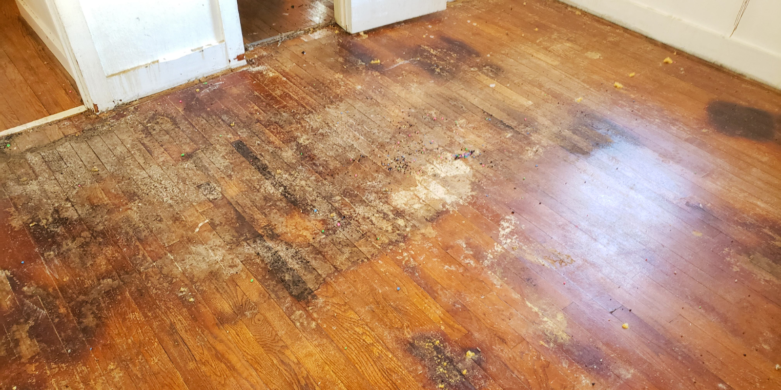 water damaged wood floors