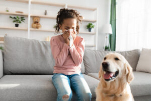 Allergic Reaction To Fur. Sick girl sneezing and sniffle holding paper tissue. Ill kid having rhinitis suffering from running nose caused by her pet dog, sitting on sofa at home, free space