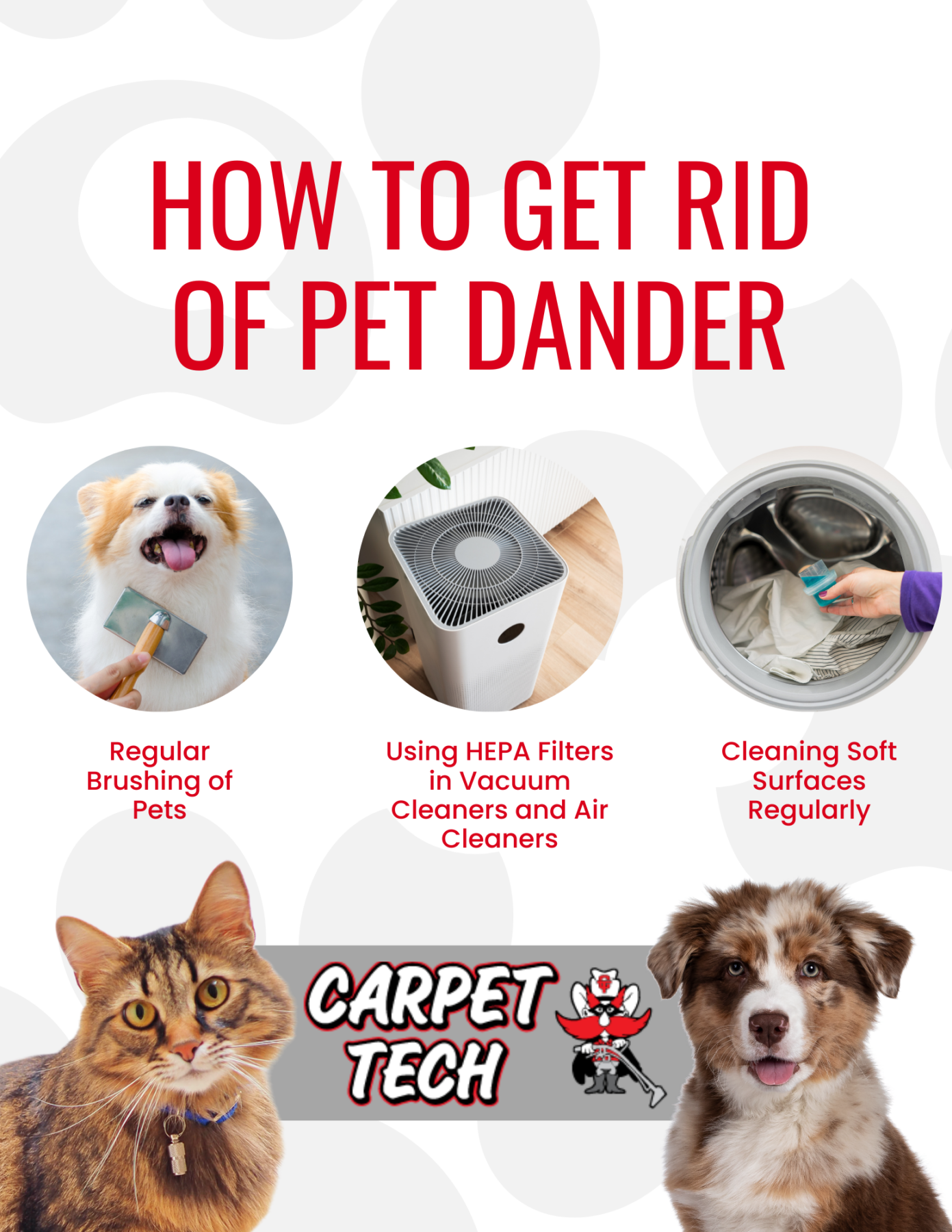 how to get rid of pet dander at home treatments