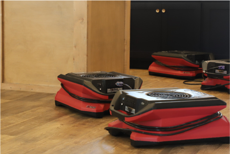Red fans on a hardwood floor.